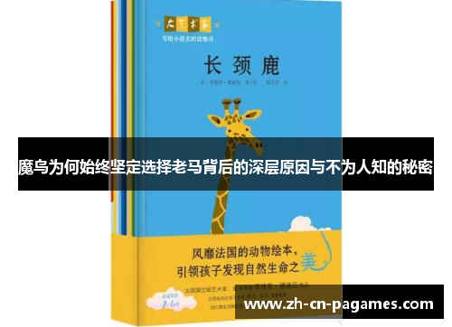 魔鸟为何始终坚定选择老马背后的深层原因与不为人知的秘密 魔鸟为何始终坚定选择老马背后的深层原因与不为人知的秘密