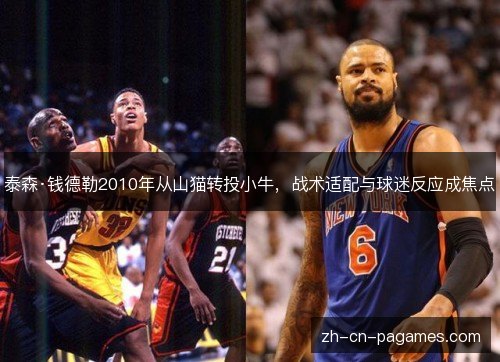泰森·钱德勒2010年从山猫转投小牛,战术适配与球迷反应成焦点 泰森·钱德勒2010年从山猫转投小牛,战术适配与球迷反应成焦点